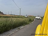Zandlemig Vlaanderen
